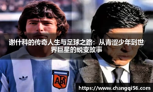 leyu乐鱼体育